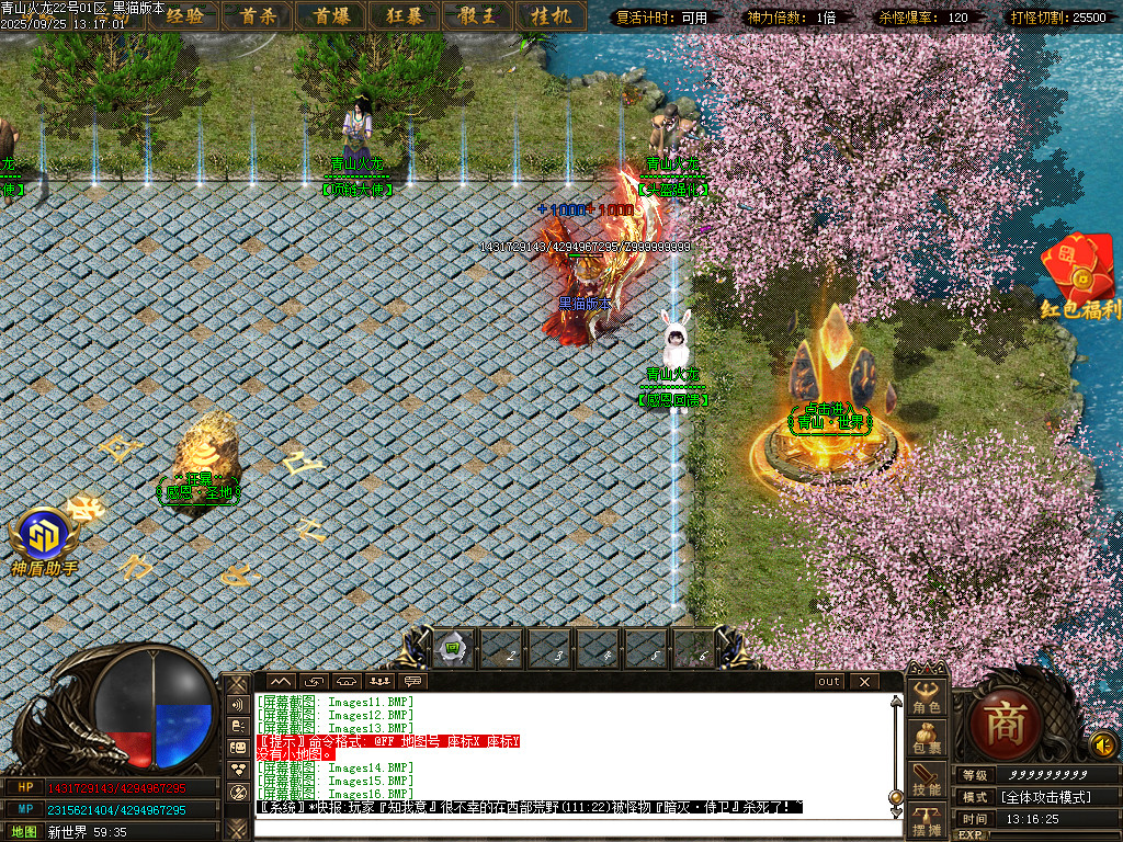 Images18.BMP