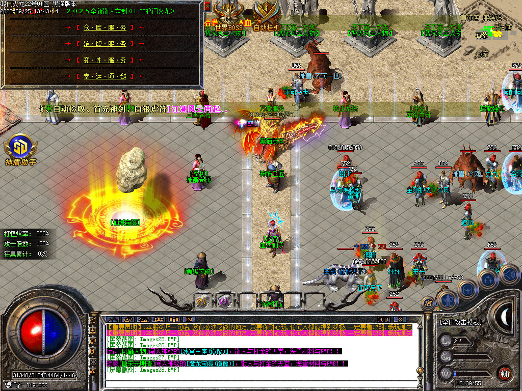 Images29.BMP