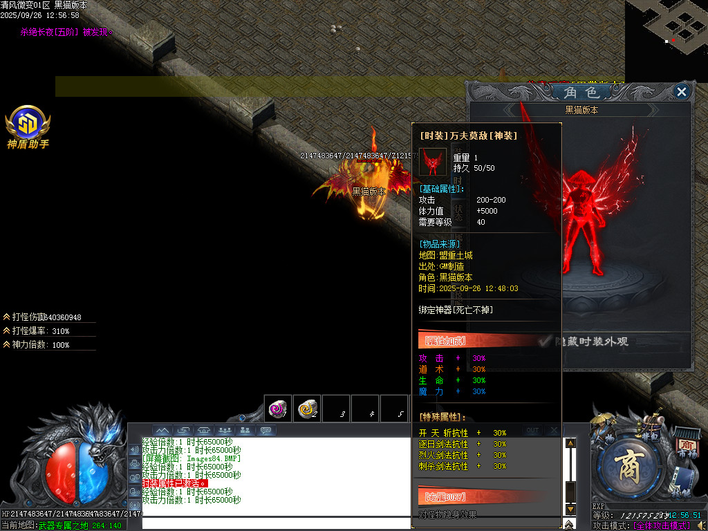 Images85.BMP