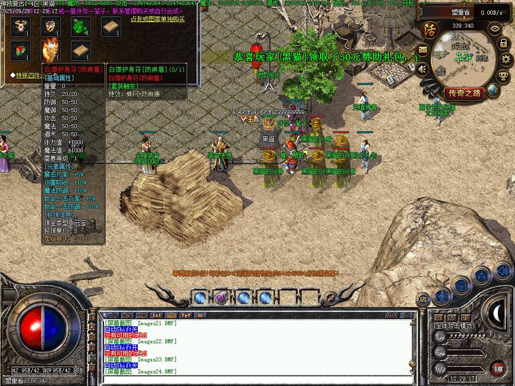 Images25.BMP