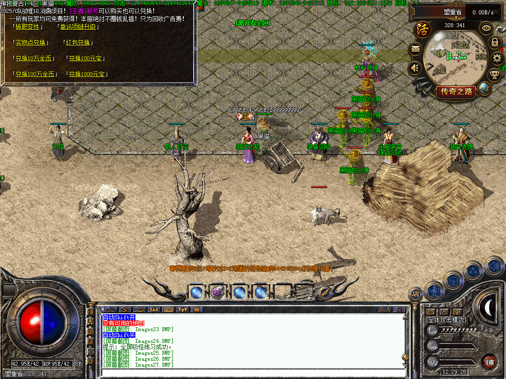 Images29.BMP