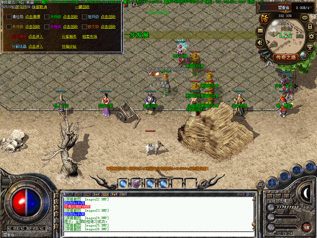 Images28.BMP