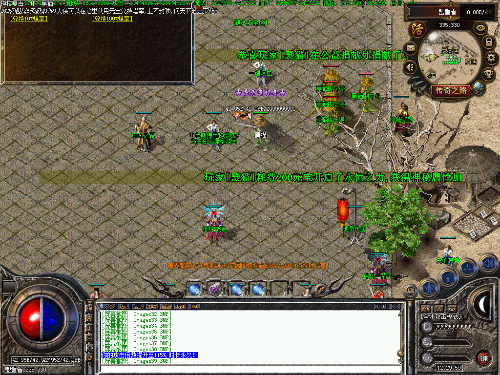 Images41.BMP