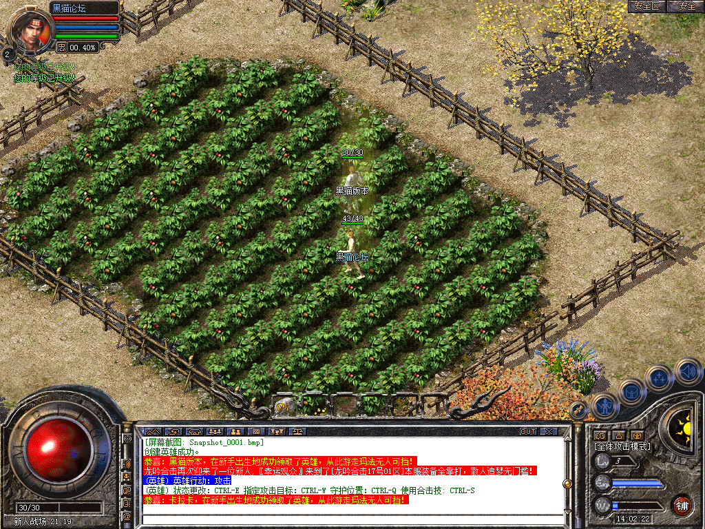 Snapshot_0002.bmp