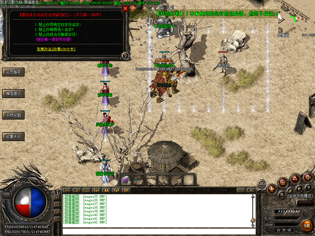 Images43.BMP