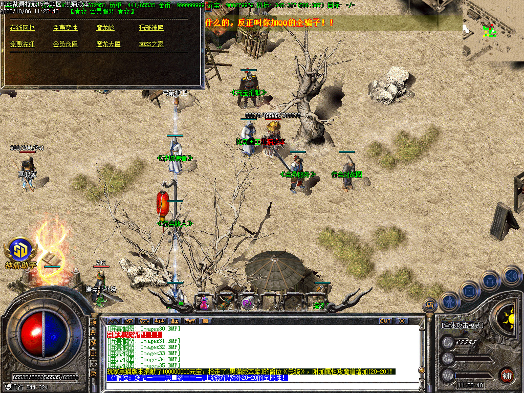 Images37.BMP