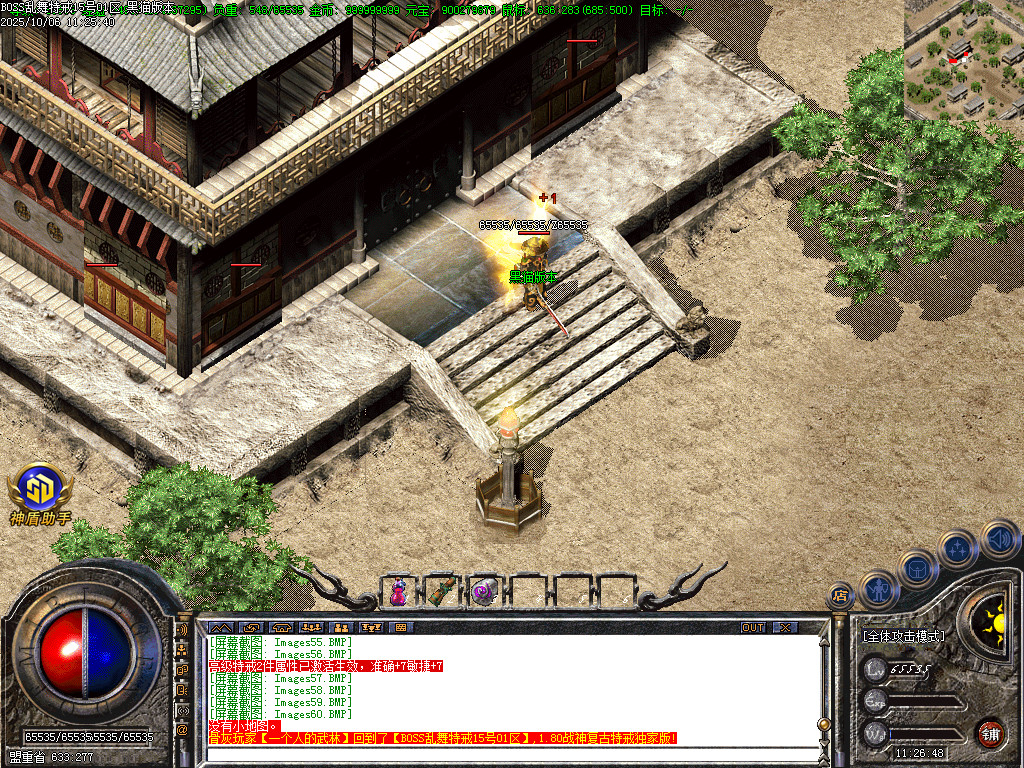 Images63.BMP