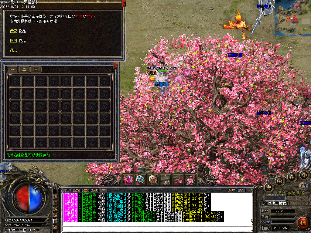 Images87.BMP