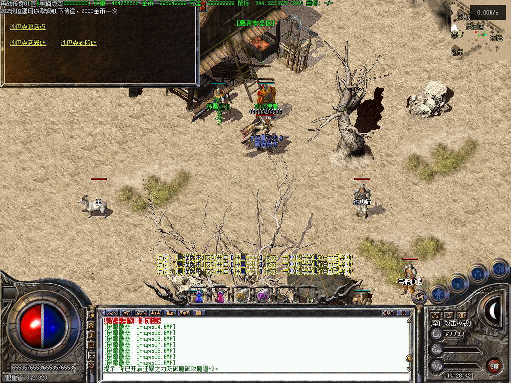 Images11.BMP
