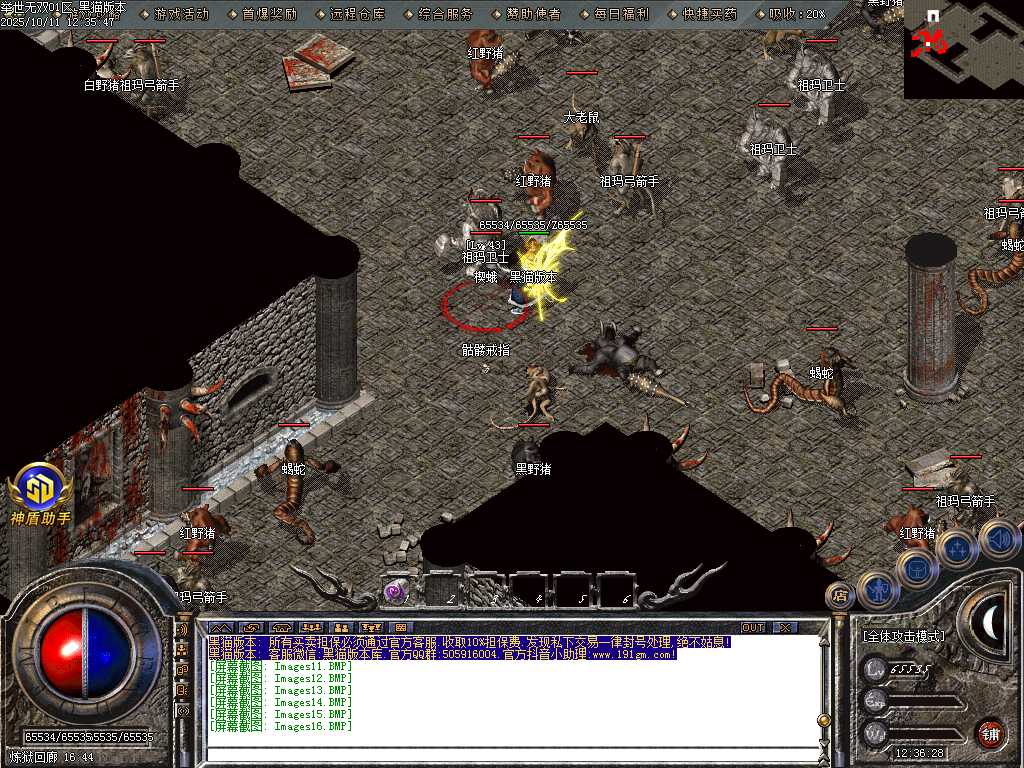 Images17.BMP