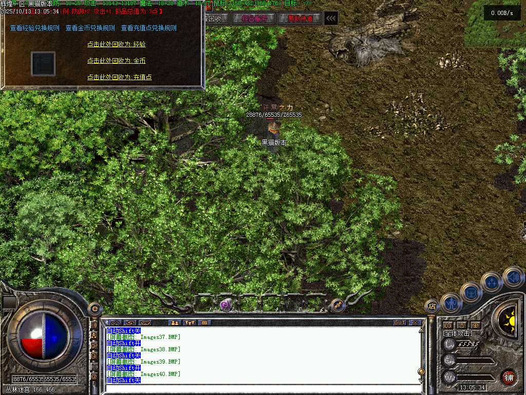 Images41.BMP