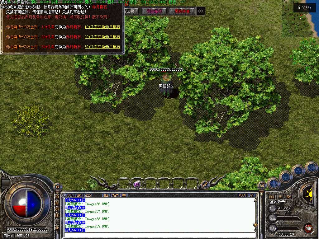 Images40.BMP