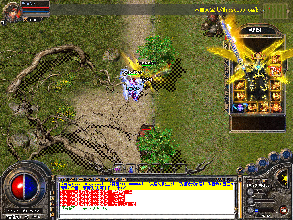 Snapshot_0073.bmp