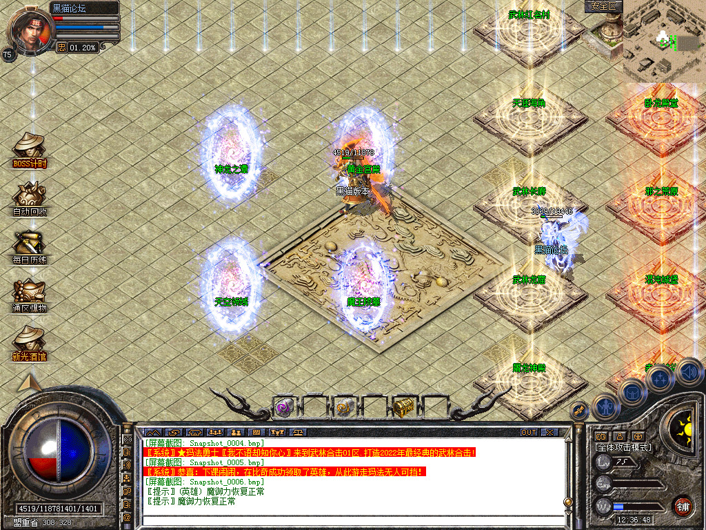Snapshot_0007.bmp