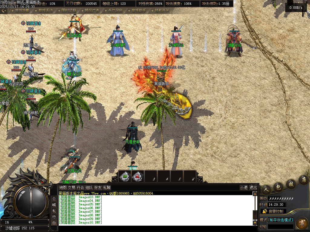 Images11.BMP