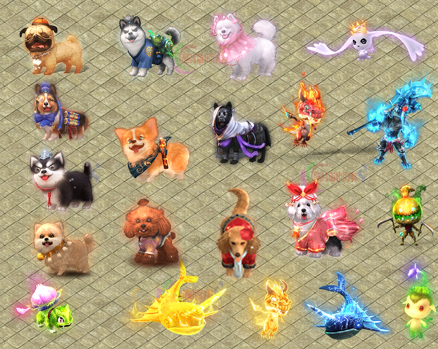 13.png