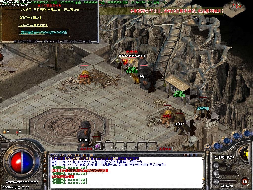Images55.BMP
