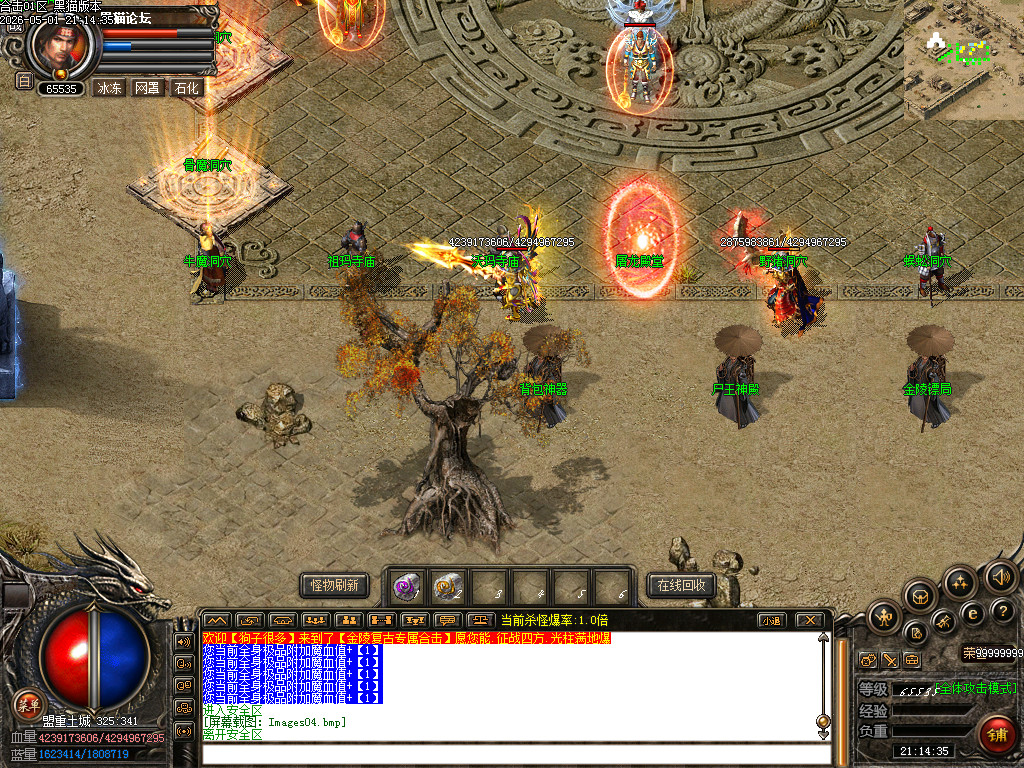 Images05.bmp