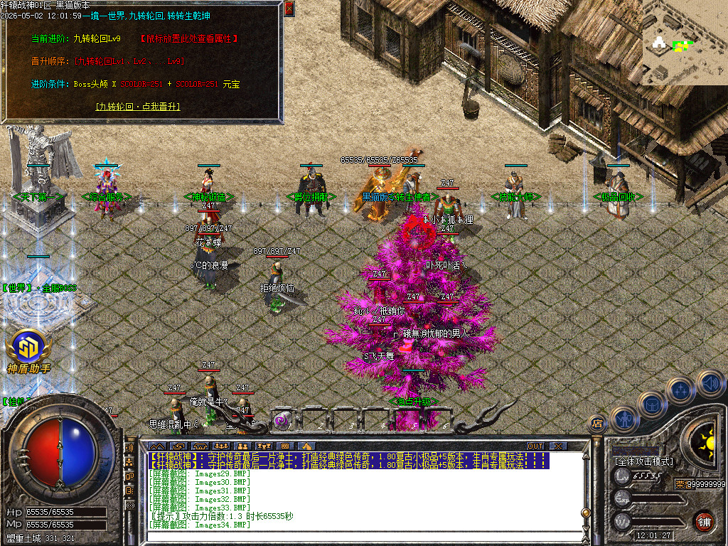 Images35.BMP
