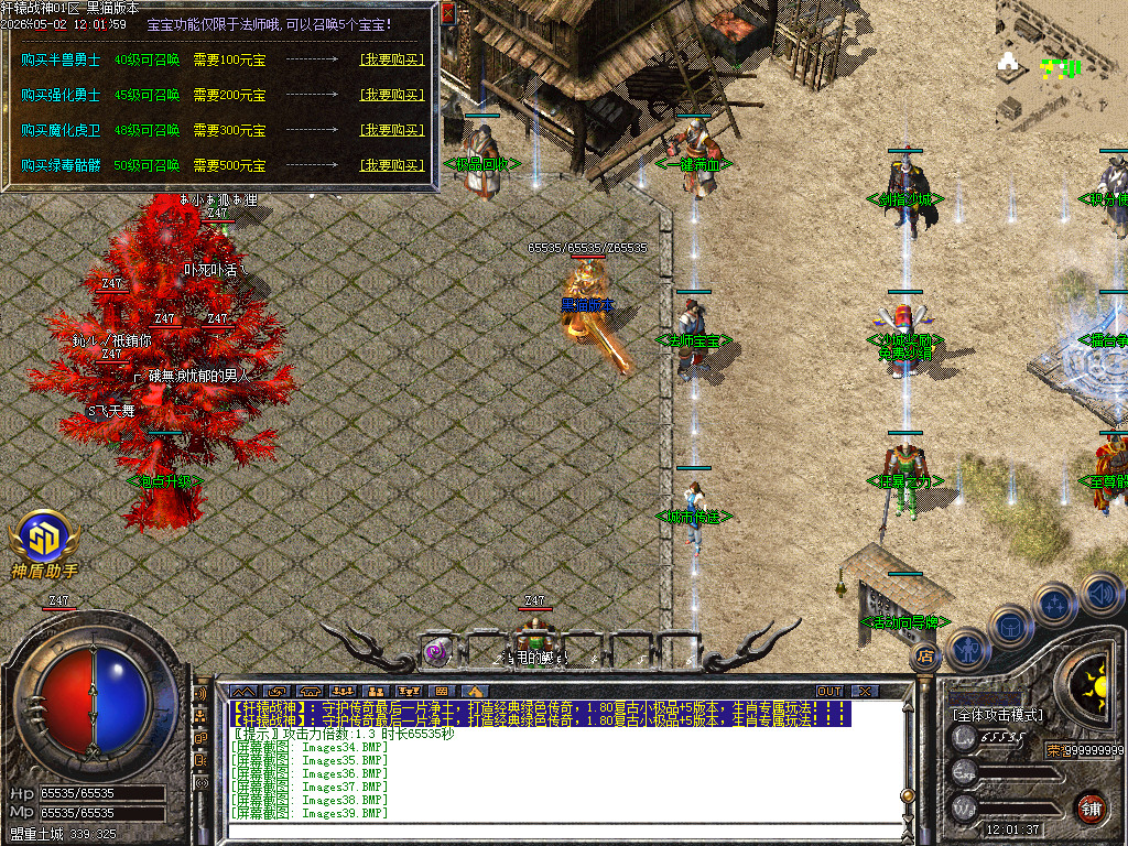 Images40.BMP