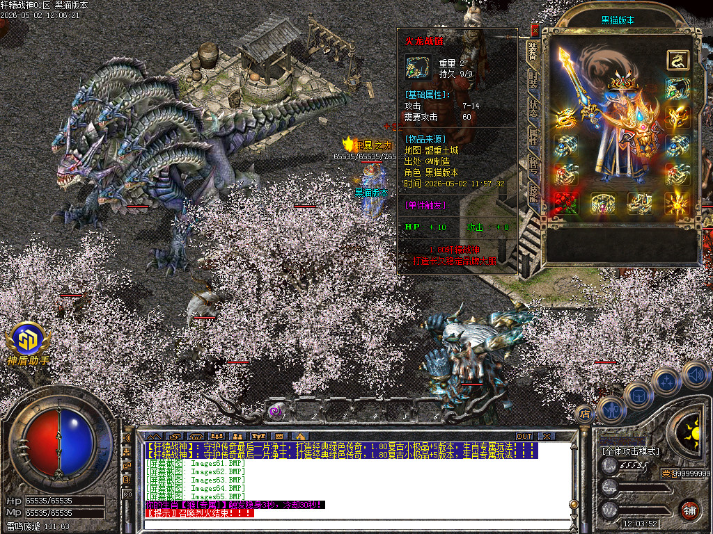 Images66.BMP