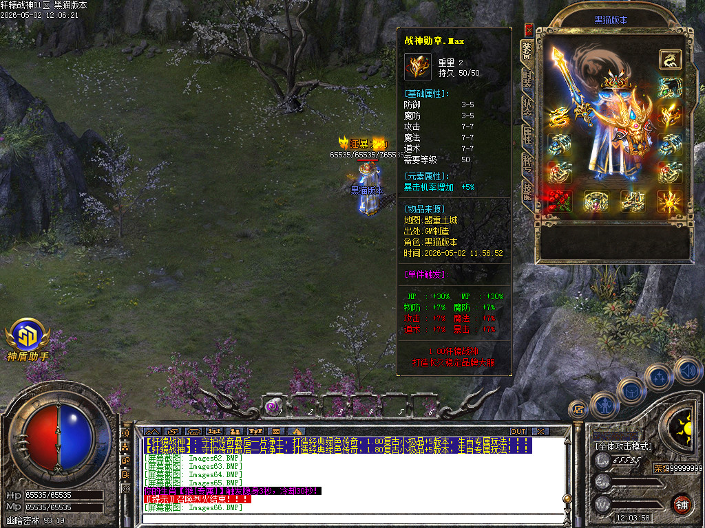 Images67.BMP