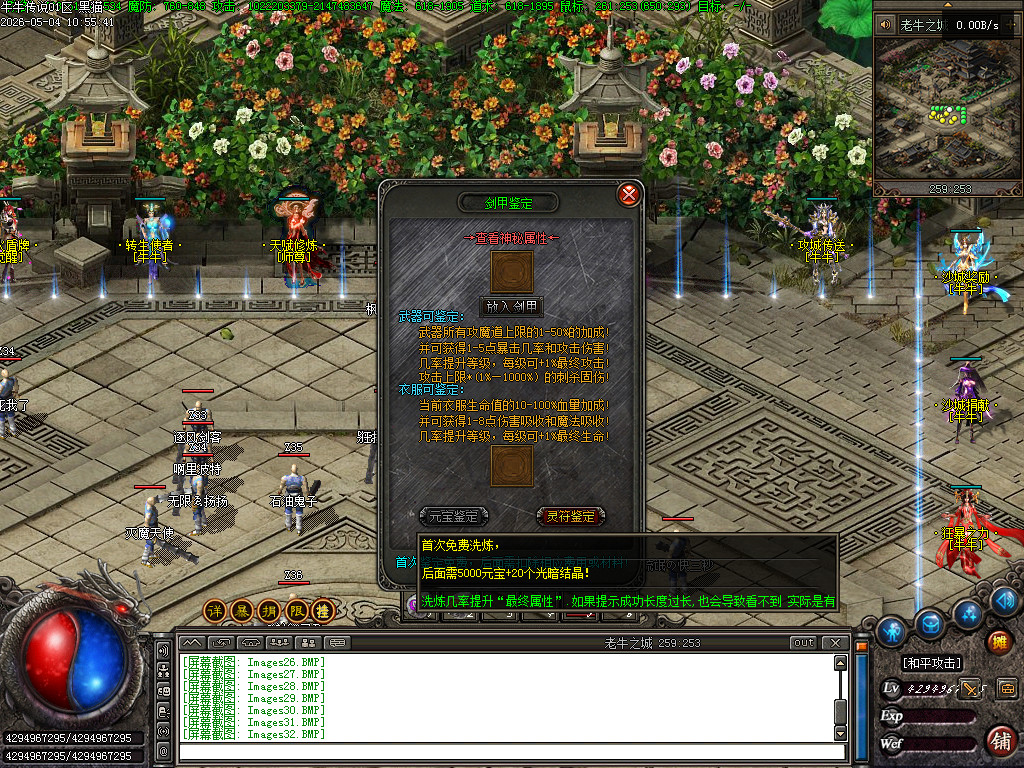 Images34.BMP