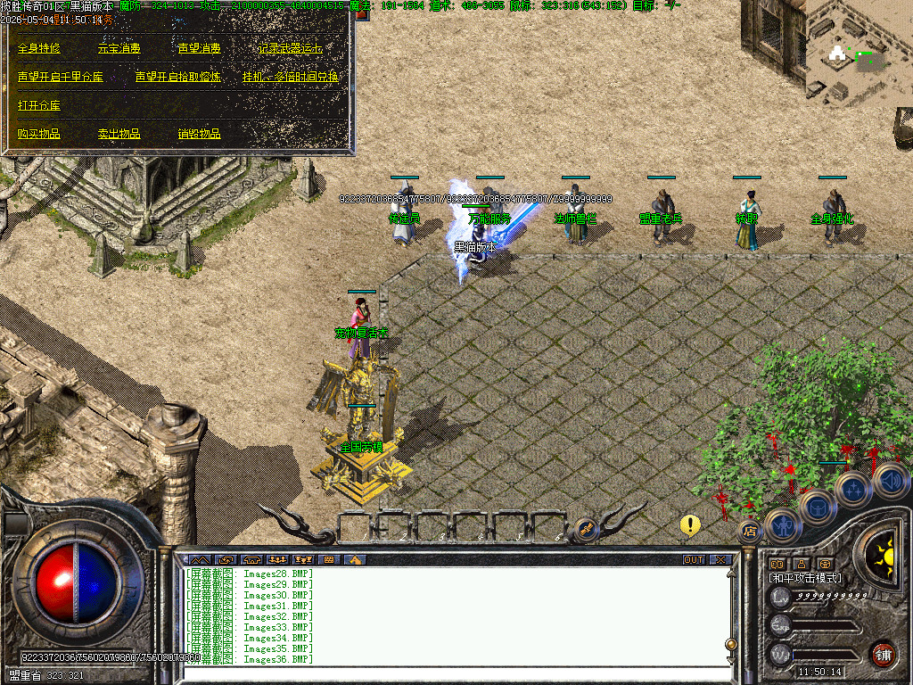 Images37.BMP