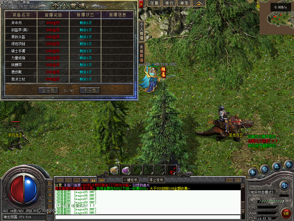 Images91.BMP