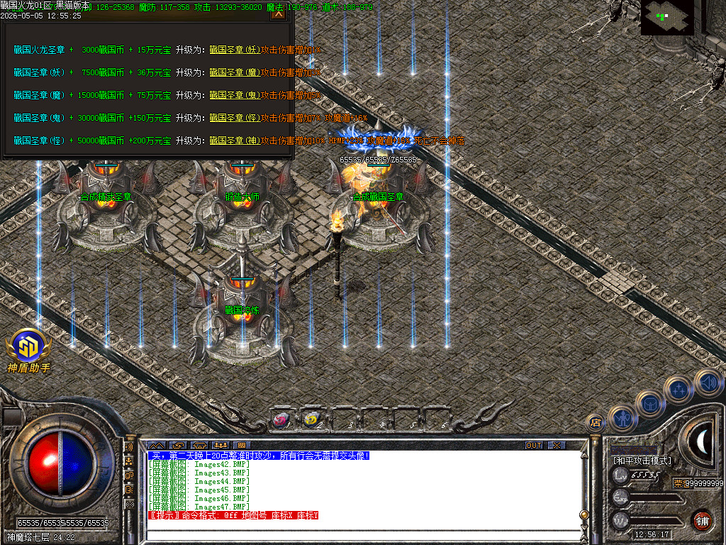 Images48.BMP