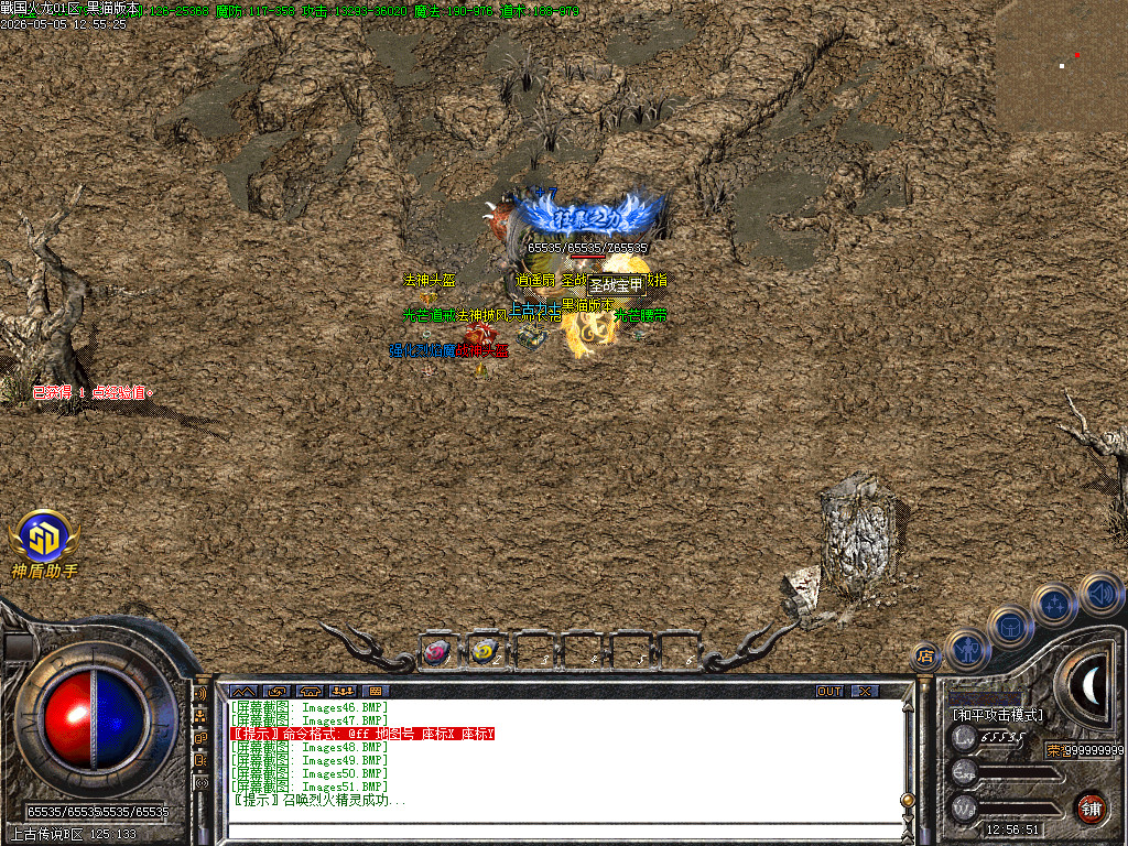 Images52.BMP