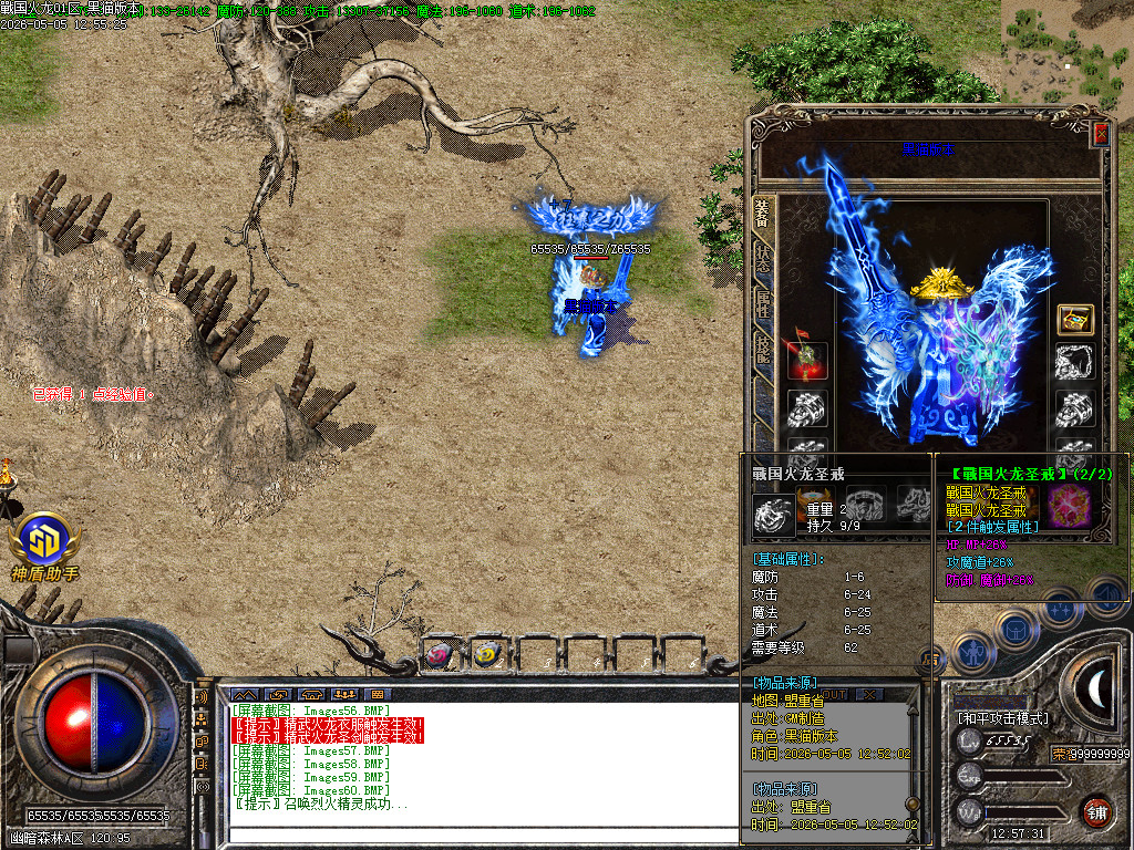 Images61.BMP