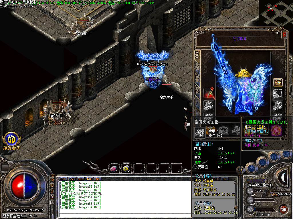 Images65.BMP