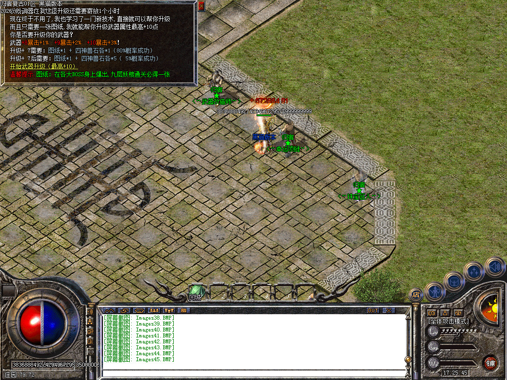 Images46.BMP