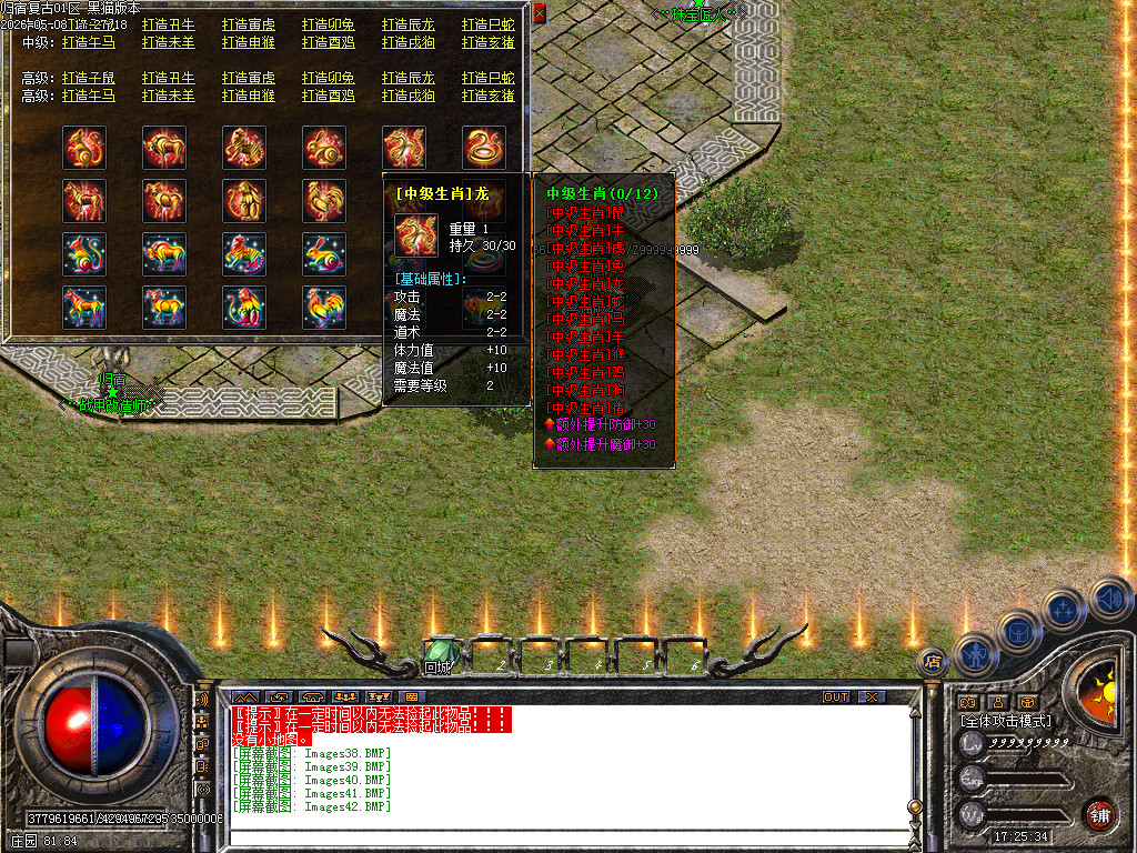 Images43.BMP
