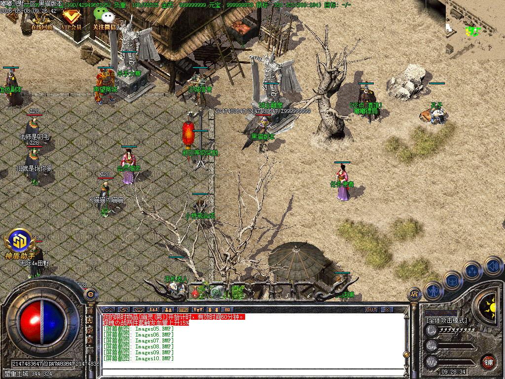 Images11.BMP