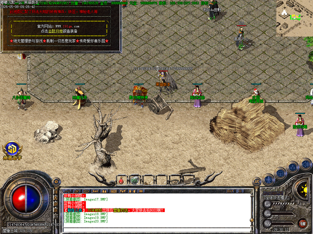 Images21.BMP