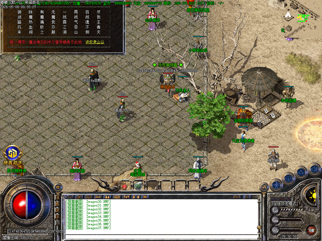 Images38.BMP