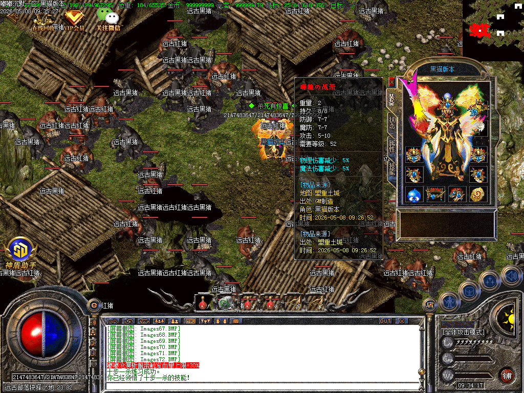 Images73.BMP