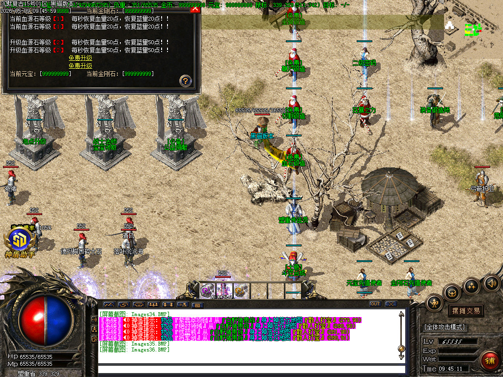 Images37.BMP