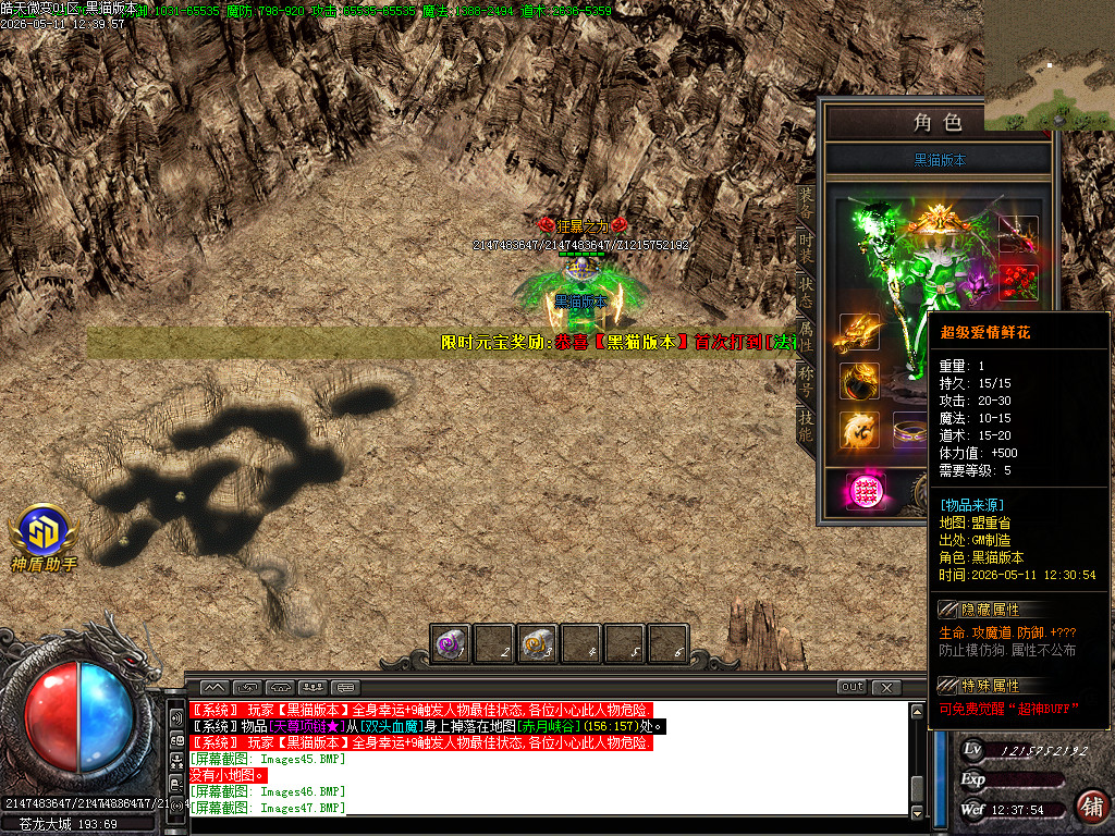 Images48.BMP