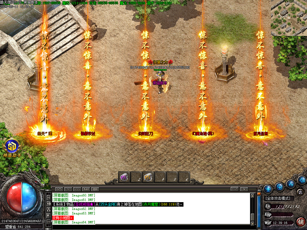 Images65.BMP