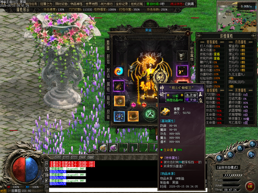 Images85.BMP