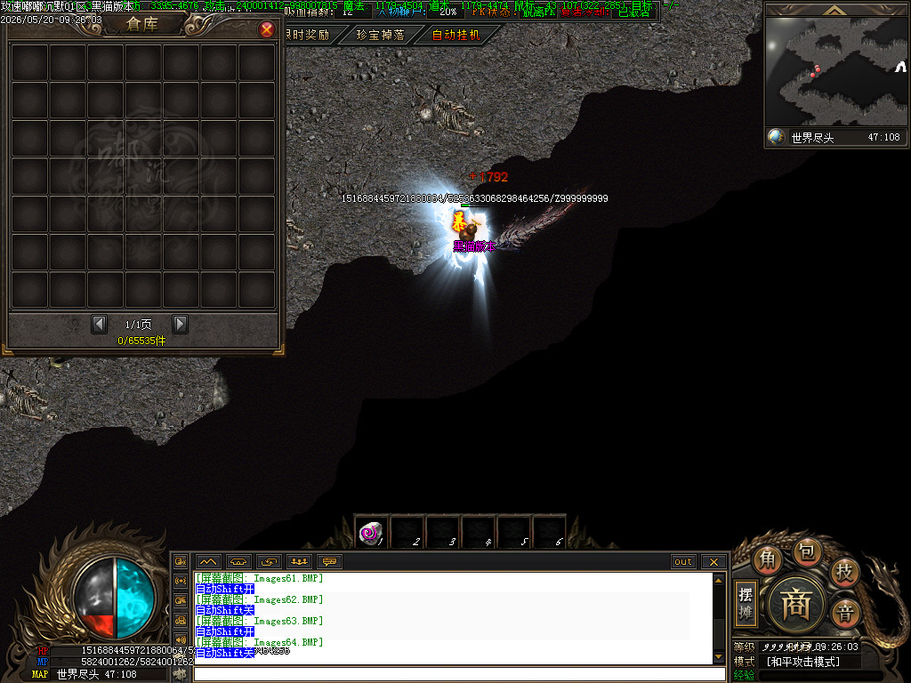 Images65.BMP