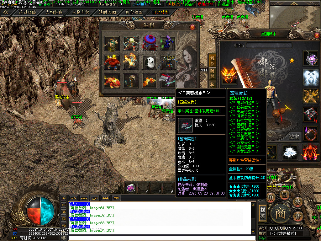 Images84.BMP