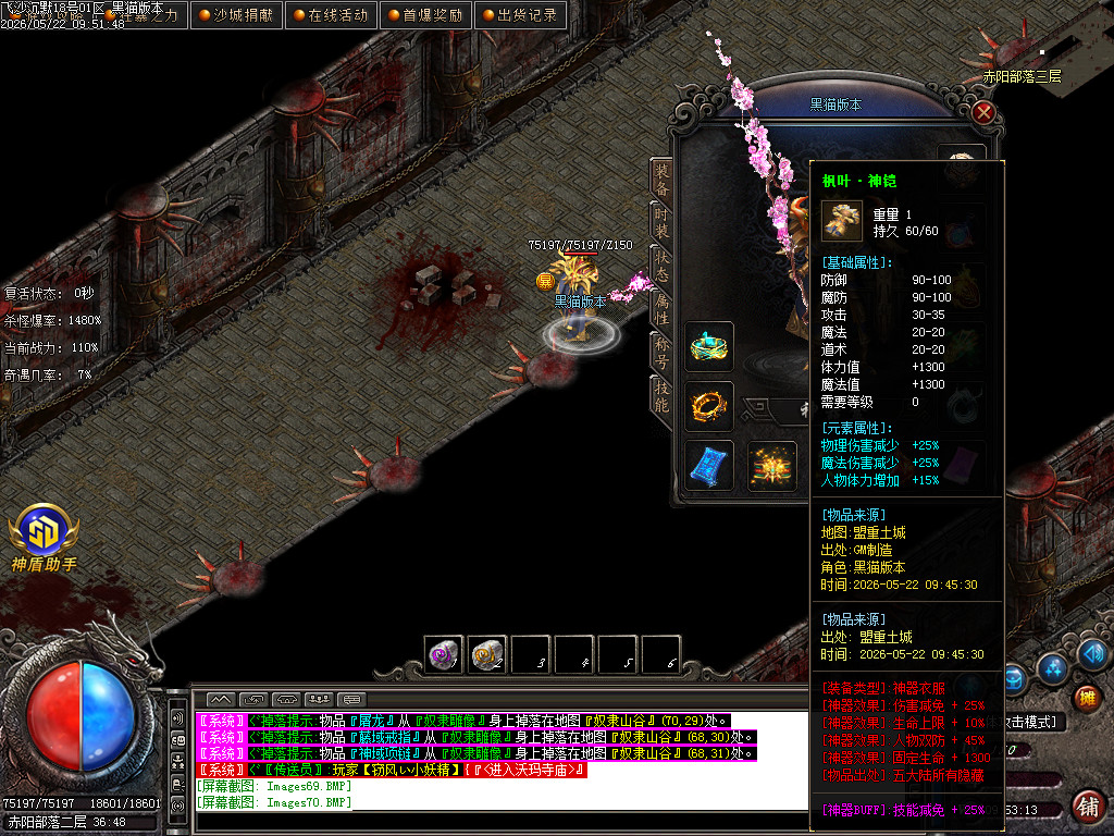 Images71.BMP