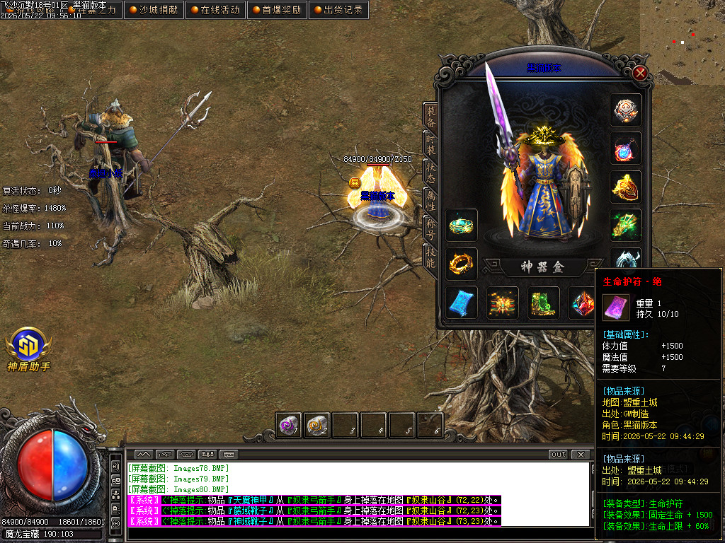 Images81.BMP