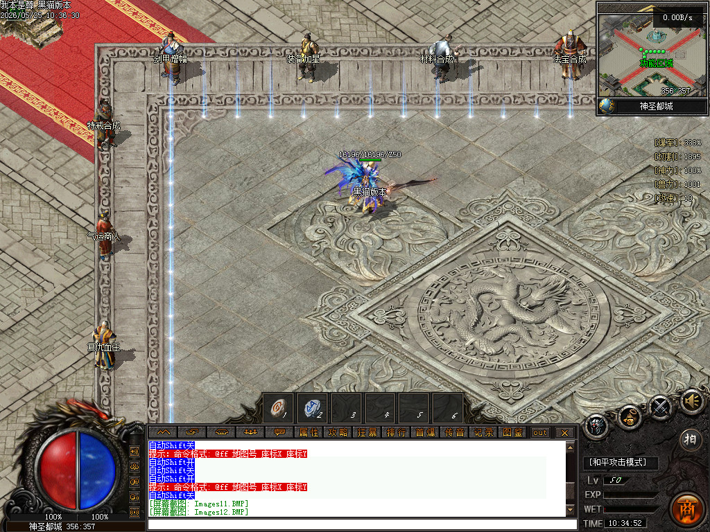 Images13.BMP