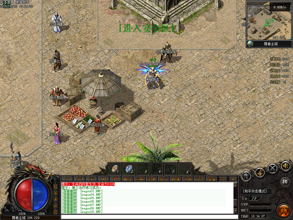 Images10.BMP