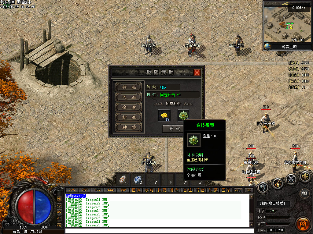 Images29.BMP